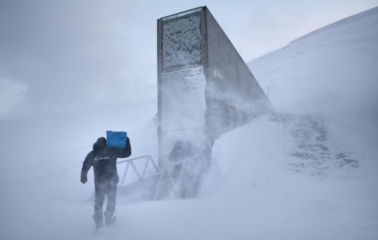 Svalbard globale frøhvelv Nibio