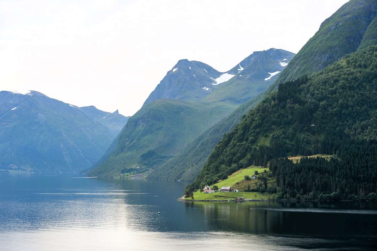 Granplanting på Vestlandet - Foto Arnold Hoddevik - Statsforvalteren i Møre og Romsdal