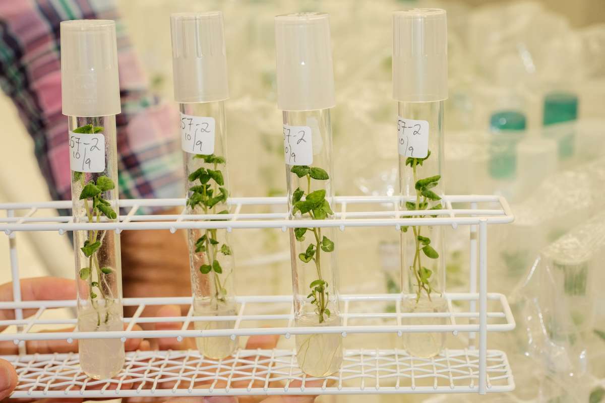 20251013-20251013-DSCF2855_RVP