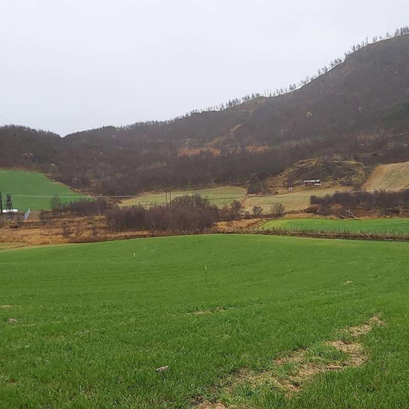 Gras-SAT-Kvæfjord