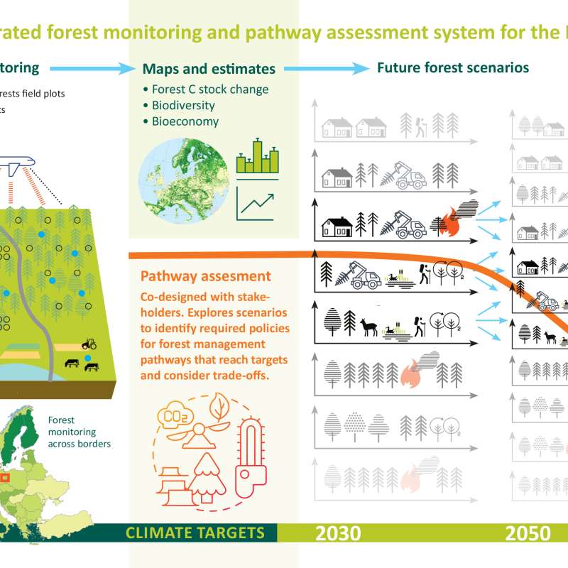 Pathway assesment graphic