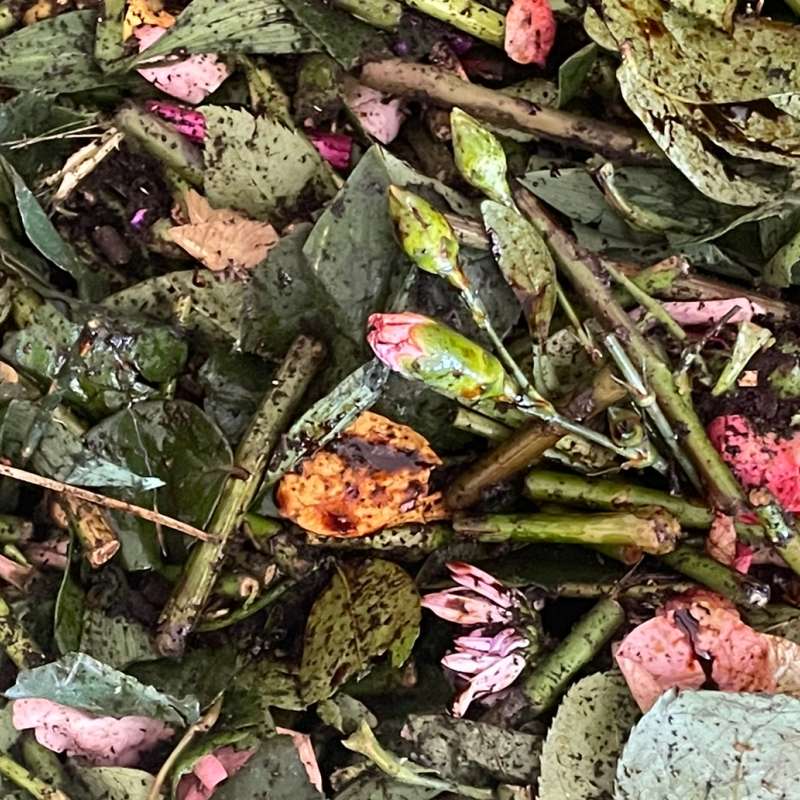 Kompost av blomster