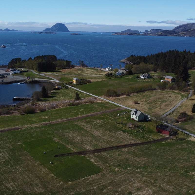Drenert myr som brukes til landbruksformål 