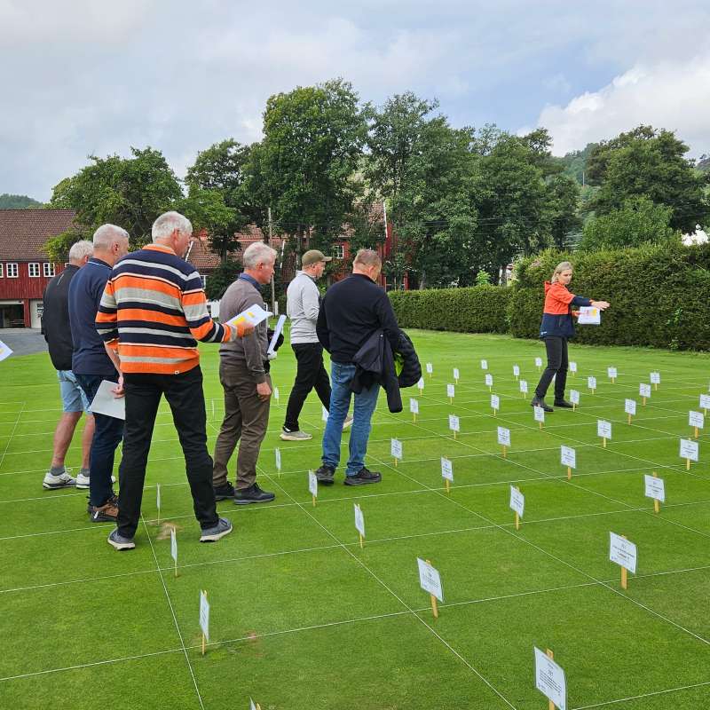 Scangreen på NIBIO Landvik under markdag den 9.september 2025