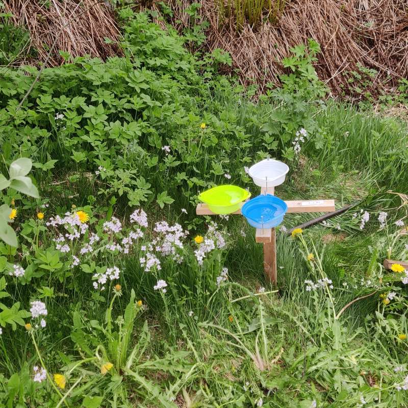 Dette er en såkalt PanTrap-felle som man bruker til å fange insekter. Det er såpevann i skålene.