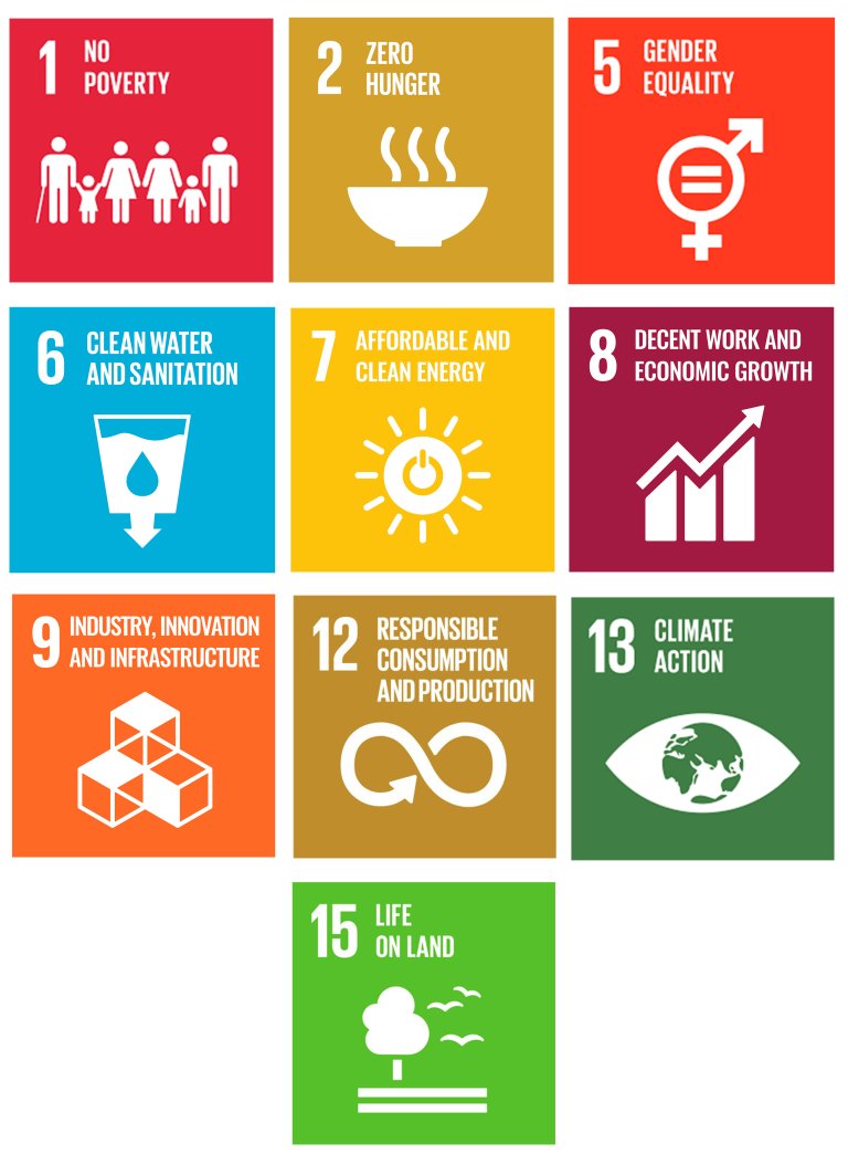 Africa CID development goals.jpg