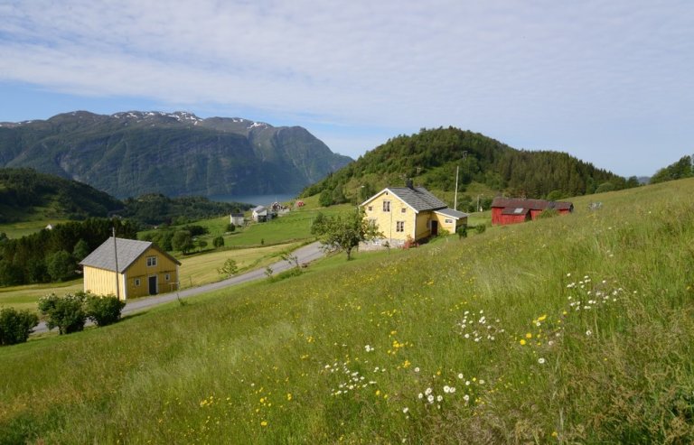 Sollia_Ørskog_kommune_M&R_Foto_Knut_Anders_Hovstad.jpg