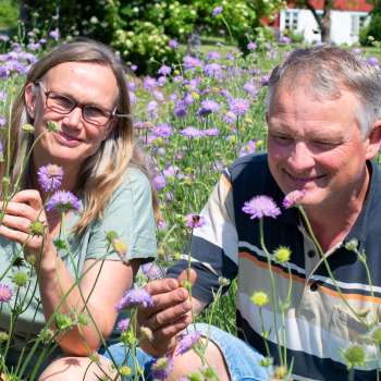 40-17-Blomsterenger-Foto Anette Tjomsland Spilling-uts