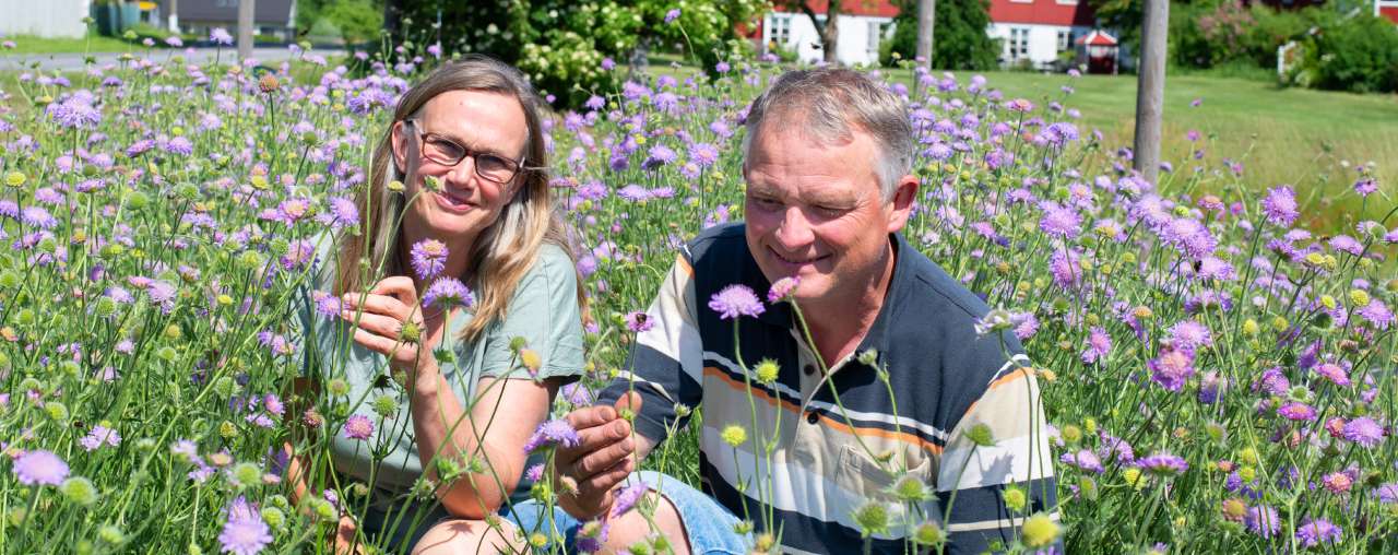 40-17-Blomsterenger-Foto Anette Tjomsland Spilling-uts
