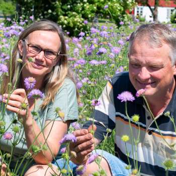 40-17-Blomsterenger-Foto Anette Tjomsland Spilling-uts