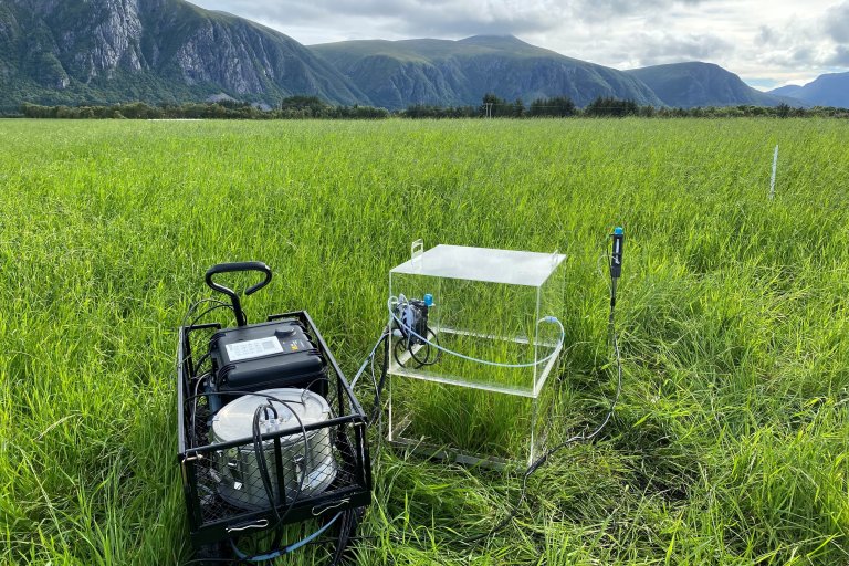 Kammersystem for måling av klimagassutslipp ved forsøksfeltet på myrjord i Farstad. Foto: Mounir Takriti
