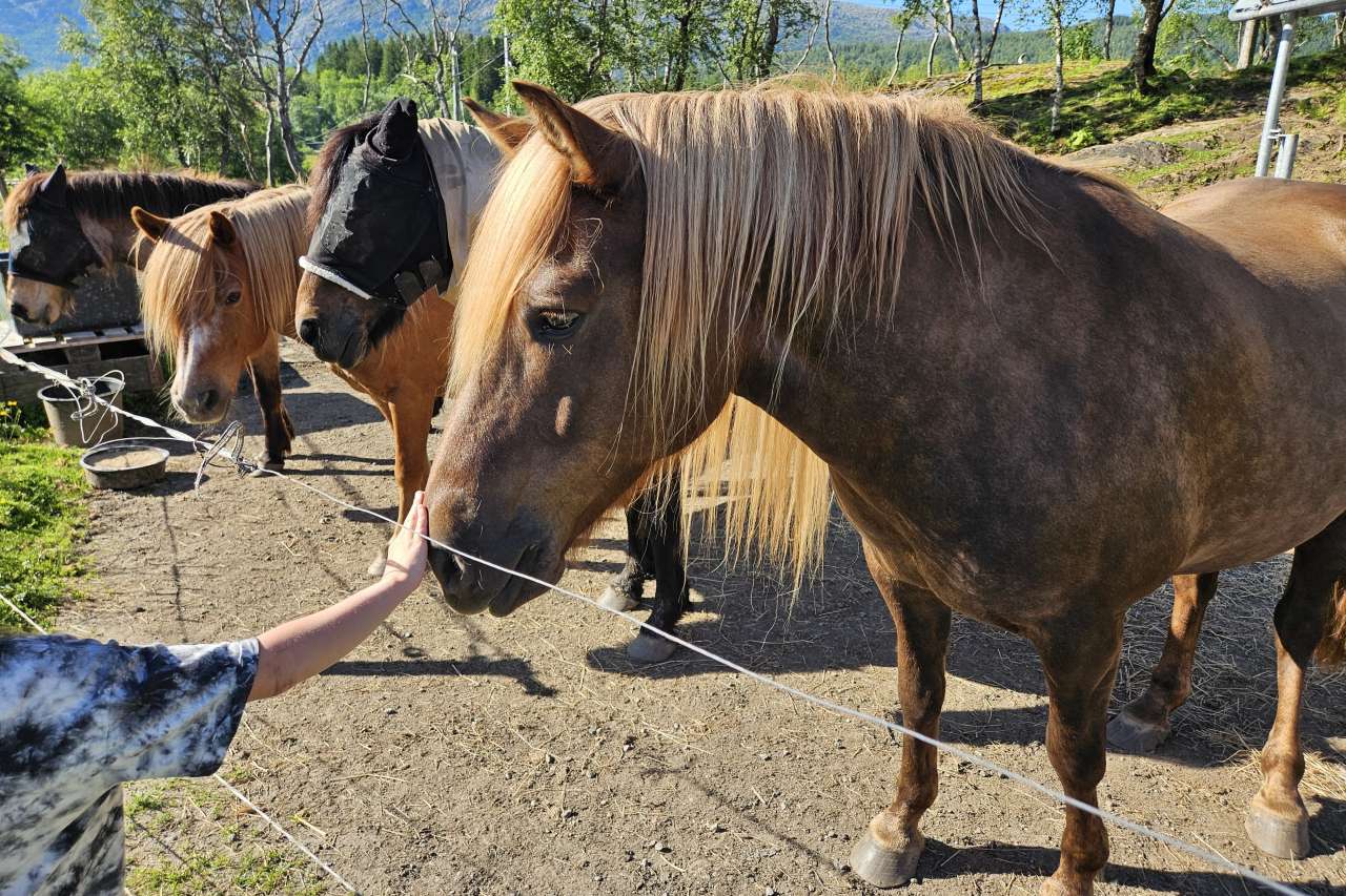 Stryke på mulen_cropped