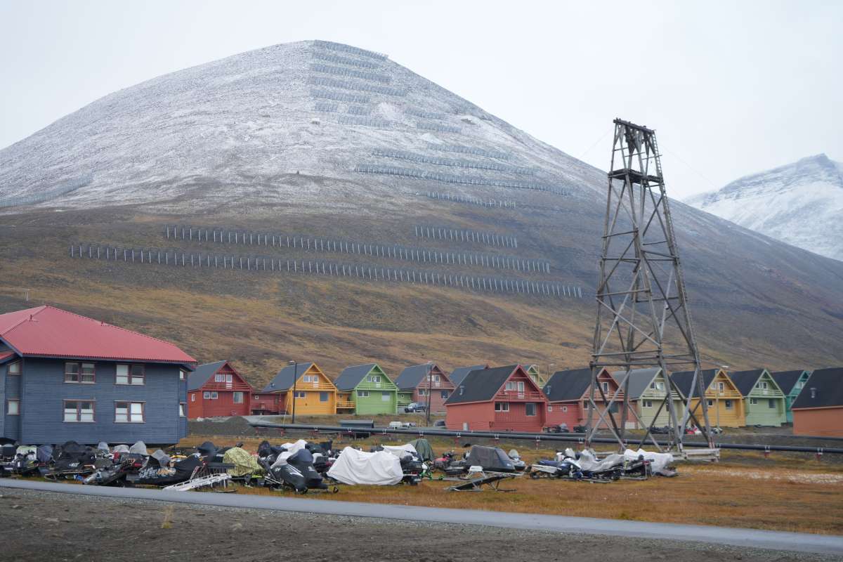 Blåmyra_ACF