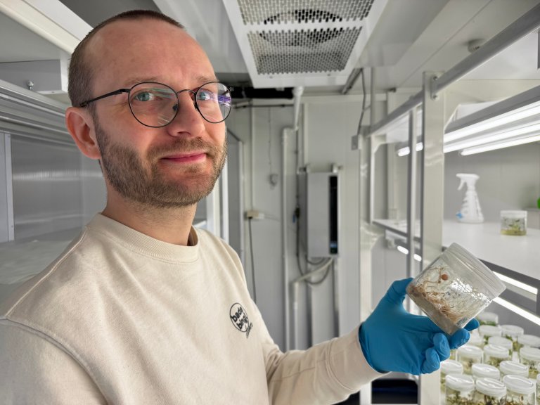 De genredigerte potetene kan bli et virkemiddel i kampen mot tørråte. Foto: Siri Elise Dybdal