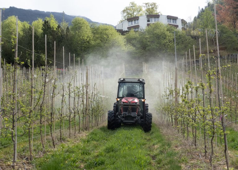 Sprøyting av eplefelt i Hardanger. Det er utfordrande å få nye plantevernmiddel godkjent i EU, og enno vanskelegare i Noreg. Biologiske alternativ til konvensjonelle sprøytemiddel stansar opp i eit utilpassa regelverk. Foto: Hege Ulfeng, NIBIO