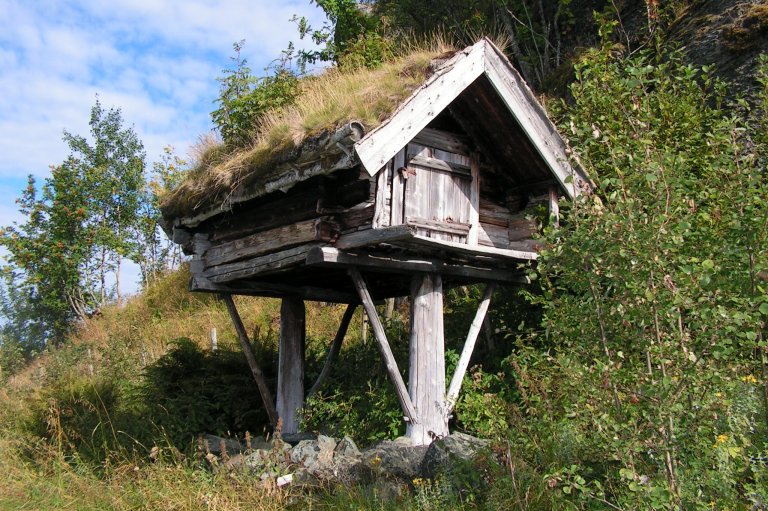 Samisk jordbruk må forstås som mer enn en næring. Det er en levevei og kulturbærer som gir grunnlag for å bevare tradisjoner, identitet og språk. Foto: Kari Stensgaard