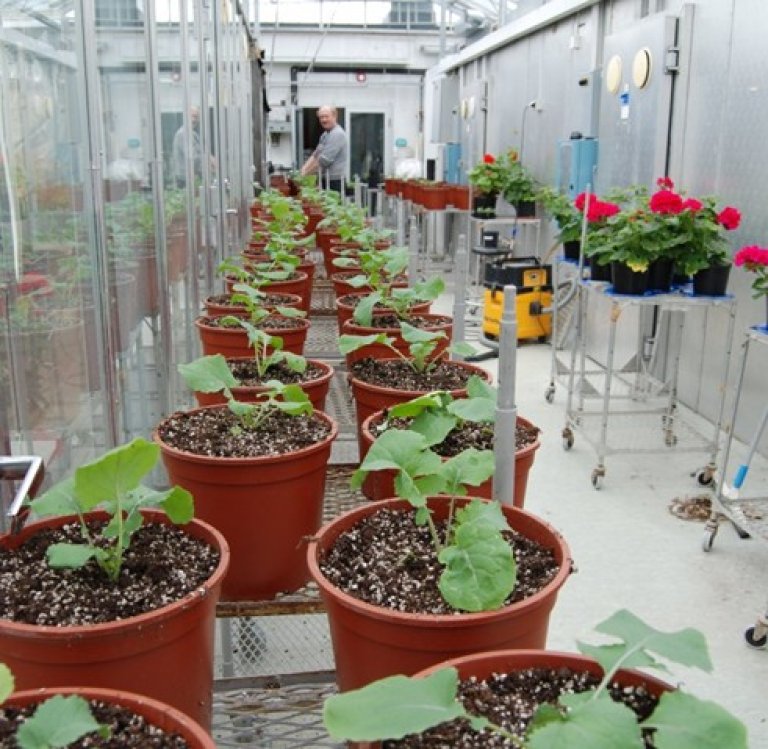 Preparation for experiments in the Climate Laboratory at Holt. Photo: Tor. J. Johansen