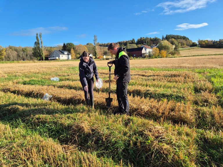 Meike S. Bärmann og Stian Dalbakk i felt, som en del av prosjektet AgroMixNorth. Foto: Ievina Sturite