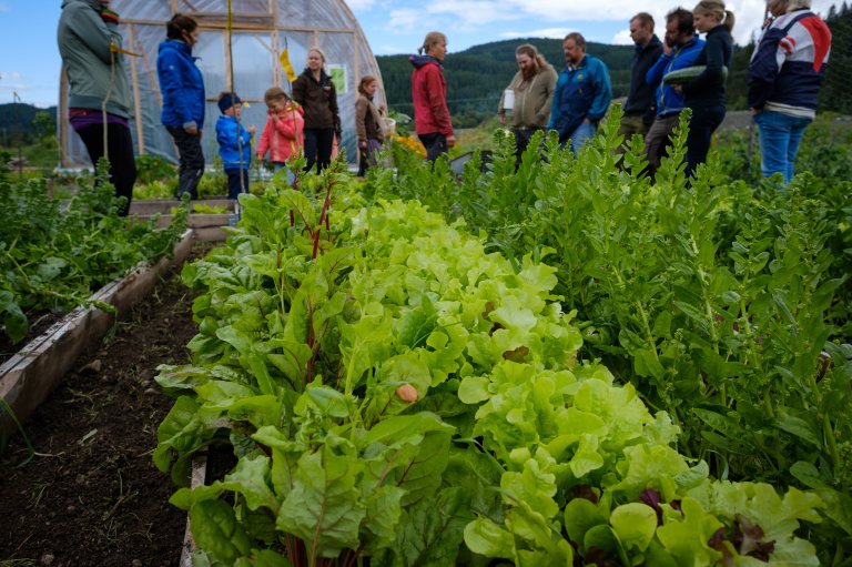 In the comments section of a survey by NIBIO, many shareholders have described what lies behind the feeling of an increased quality of life. For many, the community is important: "Fantastic place to be and work in pleasant company. No pressure to deliver - focus on learning, being together..." Photo: Lars Olav Stavnes