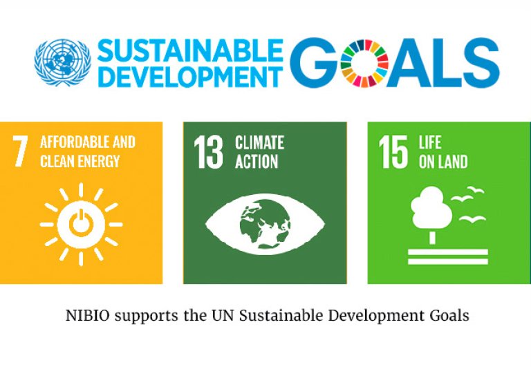 Sustainable Development Goals