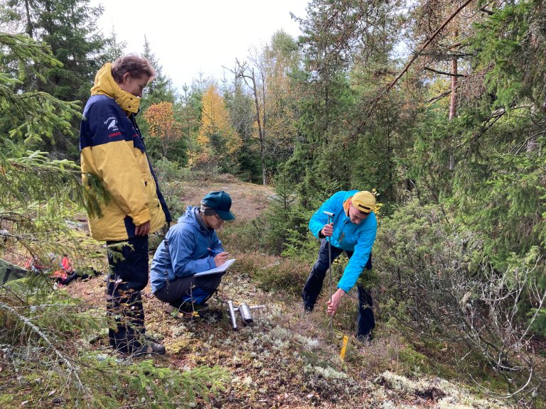 Feltarbeid - Jordkarbonkartlegging - Foto Irene Marongiu - NIBIO.jpg