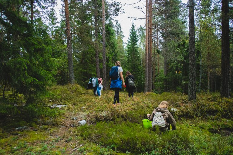 The ENFIN Association will work towards better harmonized forest information and help NFIs collectively contribute to European and international debates in a broad range of forest related policies. Photo: iStock