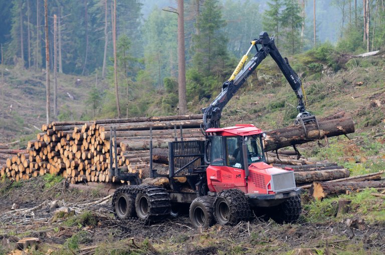 Forestry in Østfold county. Photo: Morten Günther