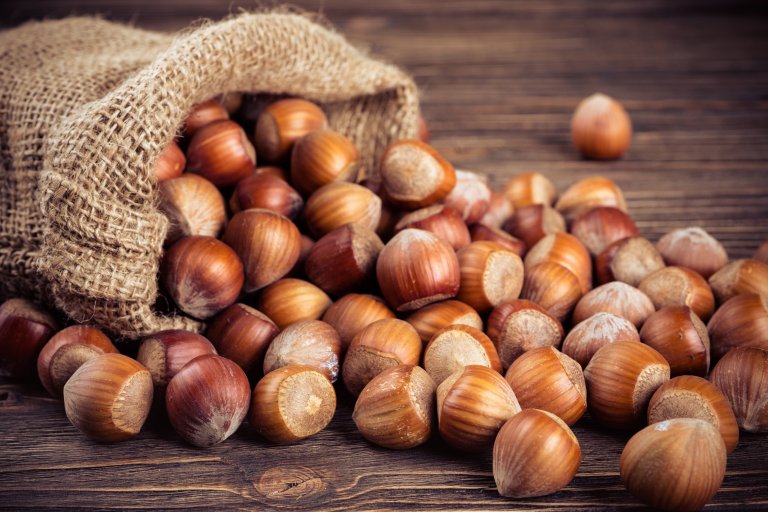 Hazelnuts have long held a special place in Norwegian Christmas traditions. Photo: Andrelix / iStock
