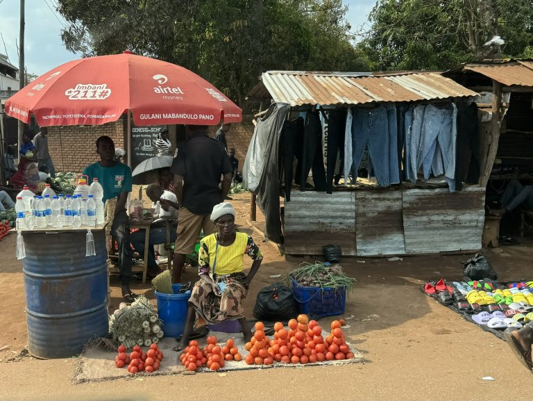 By developing a digital plant health service, the MaDiPHS project seeks to benefit smallholder farmers growing essential crops like tomato, maize, cassava, banana, and groundnuts. Photo: Siri Elise Dybdal