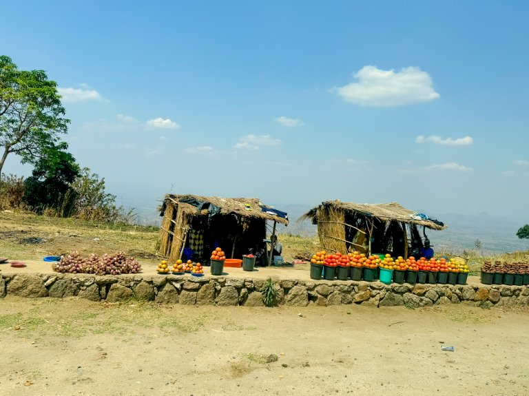 For many households, agriculture is not only an important source of income in the markets but also a necessity to ensure the family has enough food to survive, especially during periods of economic or climatic uncertainty. Photo: Siri Elise Dybdal