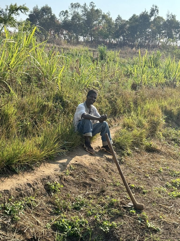 Good plant health is a very important factor for small farmers in Malawi. It can ensure better yields, higher productivity, and food security for the family. However, small farmers face significant challenges in managing diseases and pests. Photo: Siri Elise Dybdal