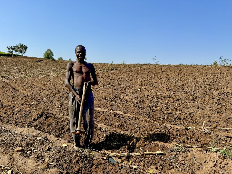 Access to reliable information is a major barrier for farmers in Malawi striving to maintain healthy crops. Photo: Siri Elise Dybdal