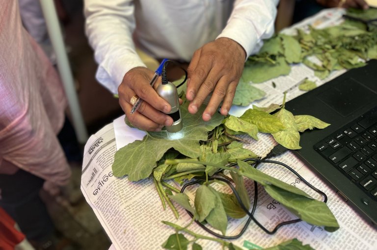 The rapid shift towards digitalisation and artificial intelligence in agriculture holds great potential to support smallholder farmers when facing climate related problems. At the Plant Clinic in Chikarada village, plant health problems are assessed by using digital microscopes and other online tools. Photo: Kathrine Torday Gulden