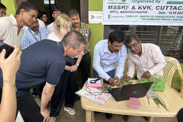 Norwegian Ambassador Ms May-Elin Stener and NIBIO’s CEO Ivar Horneland Kristensen are given a demonstration of some of the digital tools used to determine plant diseases at the Plant Clinic in Bhadakrushnapur, Odisha. Photo: Ragnar Våga Pedersen