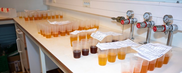 Apple juice samples for chemical analysis. Photo: Erling Fløistad