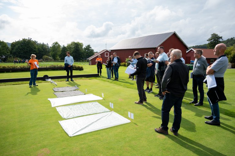 Forsøk med duker for oppvarming - Foto: Lars Sandved Dalen, NIBIO