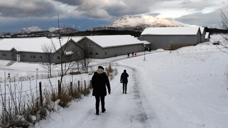 The barn at NIBIO-Tjøtta was built in 1996. Since then, numerous exciting livestock experiments have been conducted, and there have been significant upgrades to the experimental facilities. Photo: Liv Jorunn Hind