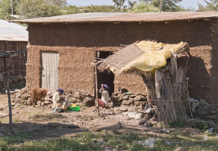 Bahir Dar is the rapidly growing capital of the Amhara region in northwestern Ethiopia, with approximately 500,000 residents as of today. Photo: A. Davey / CC BY SA-2.0