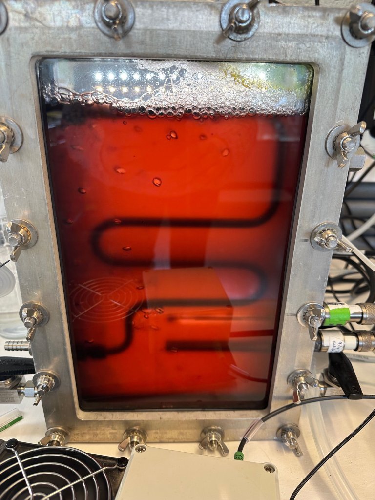 Rhodo FP-PBR 0907 2025 -2-redigert kopi.jpg