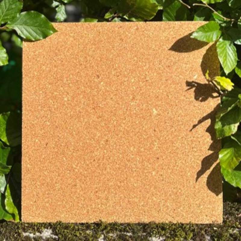 Particle board from treated shavings