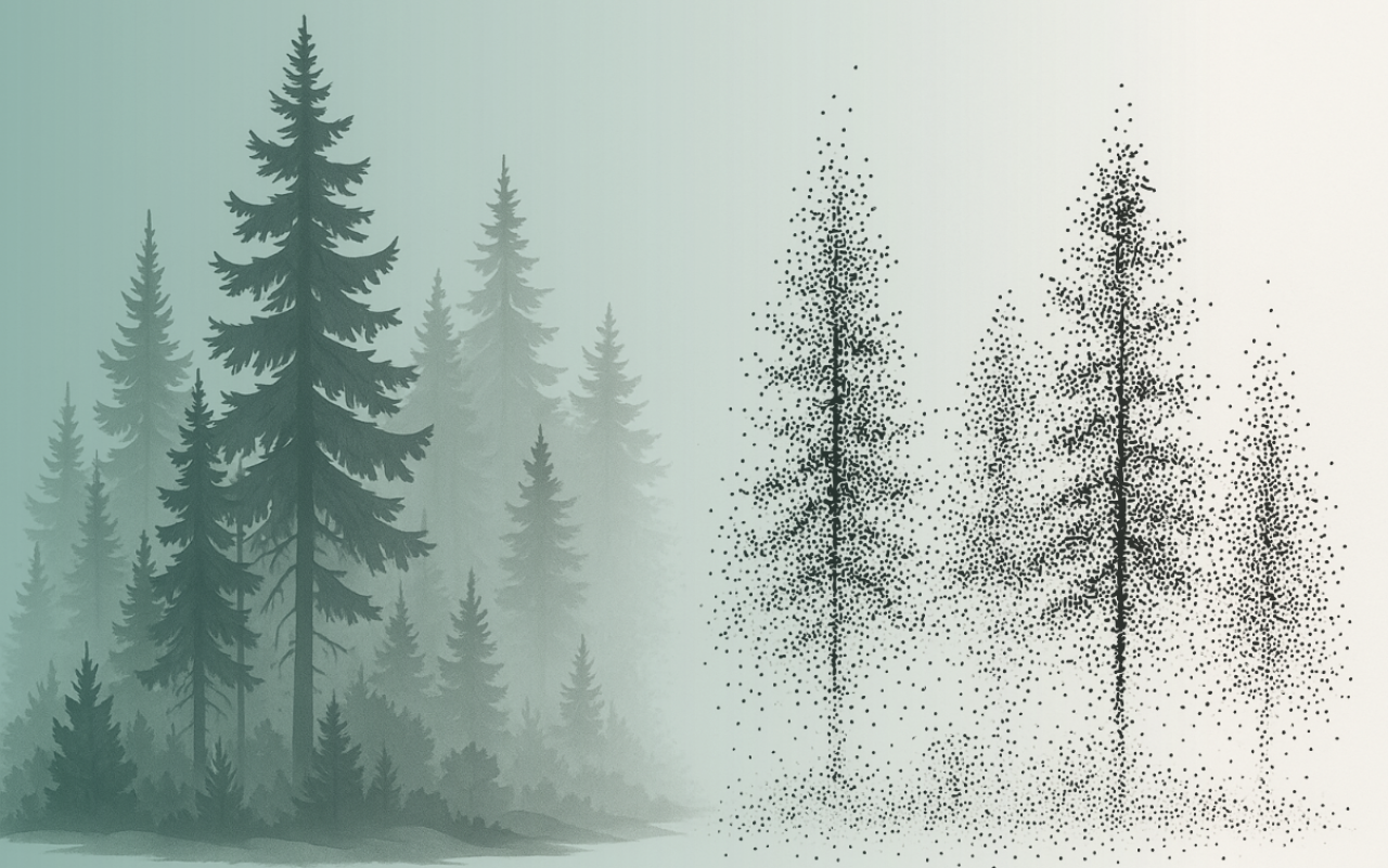 Forest illustration