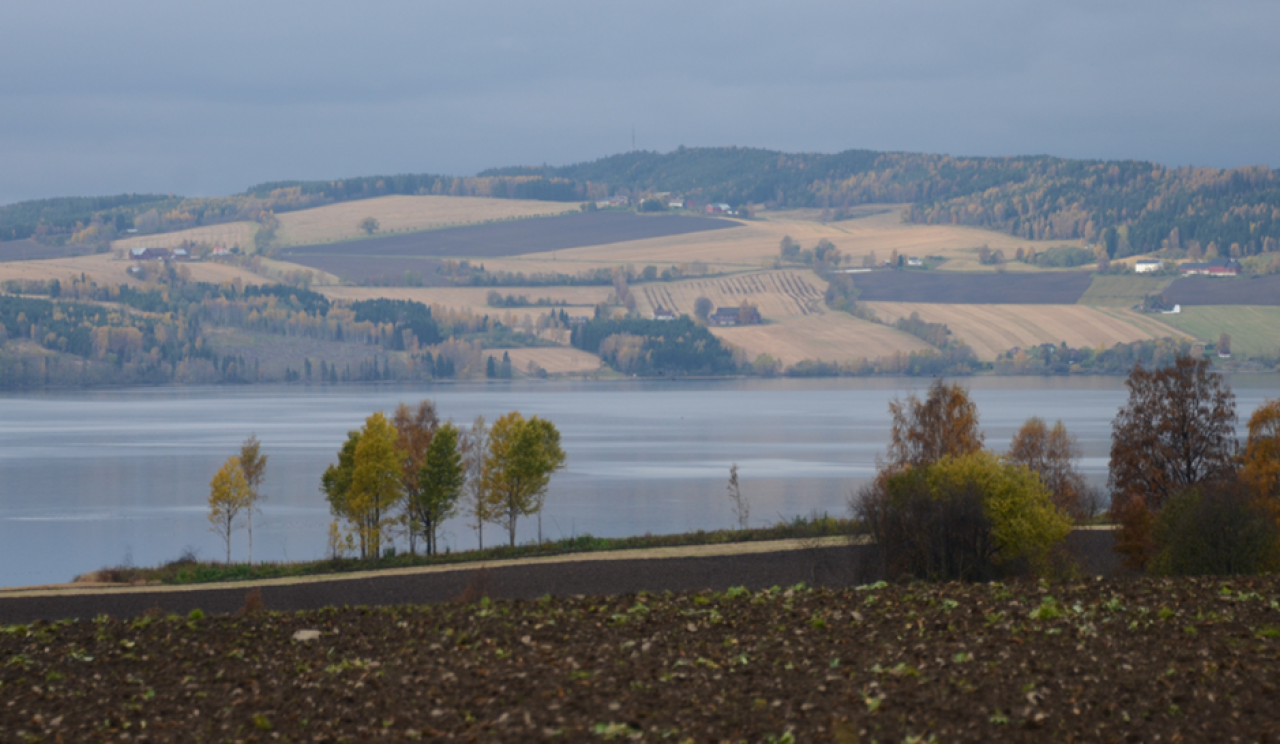 Landscape with water