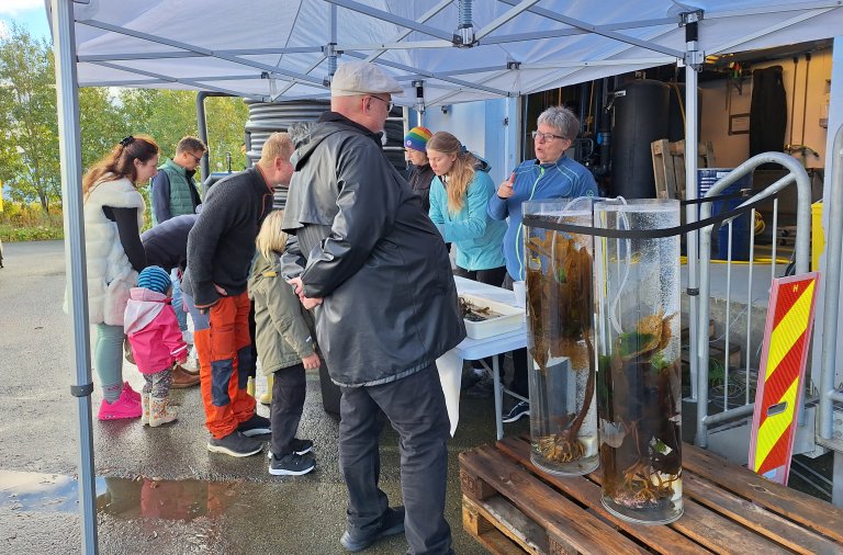 Open Lab - 6 - Mørkvedbukta 2024 - Image credit Abirami Ramu Ganesan.jpg