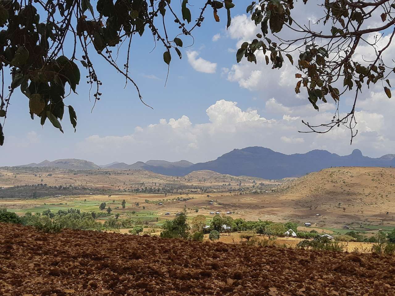 Forest Landscape Restoration Flr Ethiopia Nibio 2634