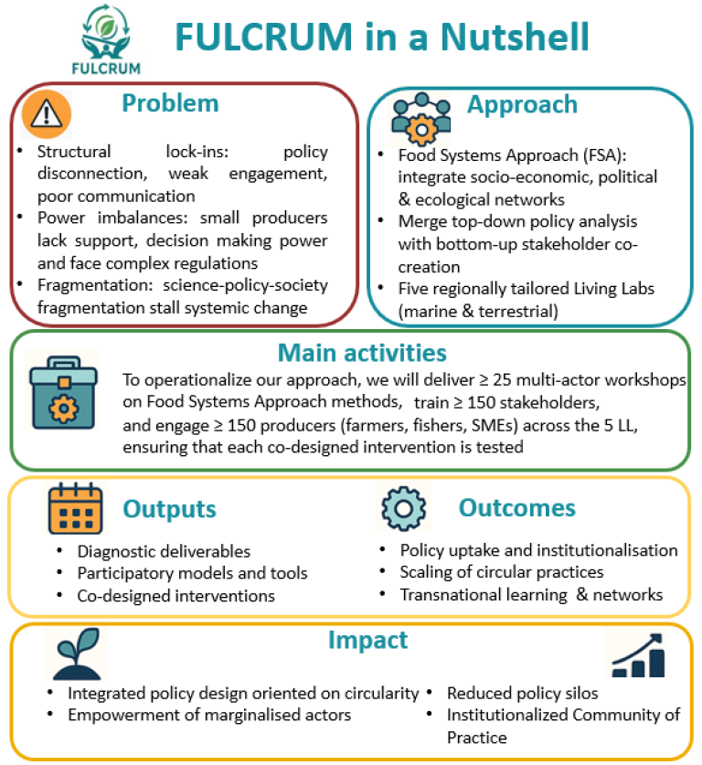 Project overview.