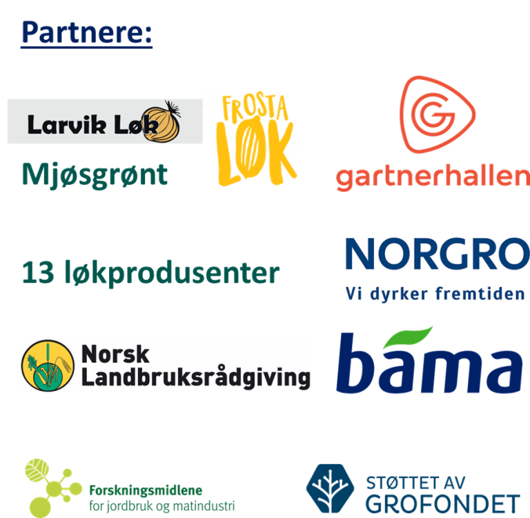 logo mer norsk løk.png