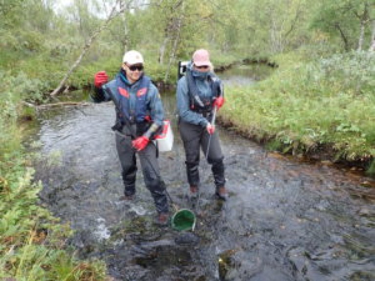 electrofishing_JV.jpg