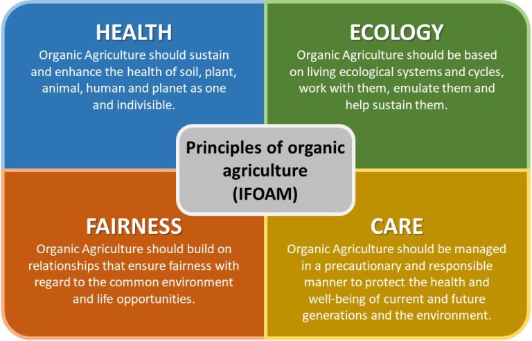 Prinsipper IFOAM1 engelsk versjon.jpg