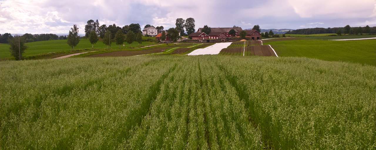 WP_20160712_14_56_51_Økologisk-landbruk