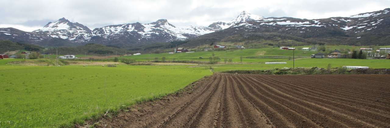 lofoten0612 067